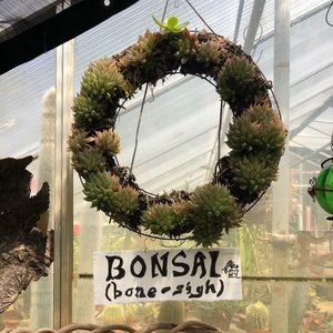 Meet your Posher, Hayley